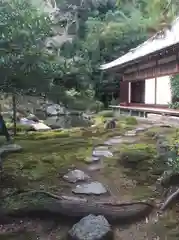 浄住寺の庭園