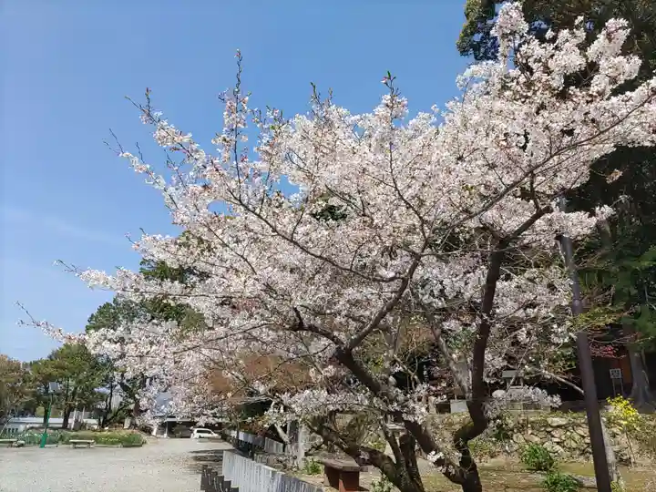 廣八幡宮の自然