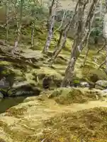 慈照寺(慈照禅寺・銀閣寺)の周辺