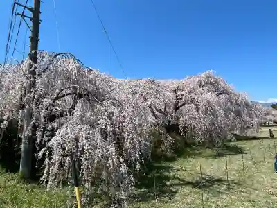 安養寺(長野県)