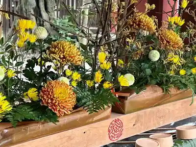 武蔵一宮氷川神社(埼玉県)