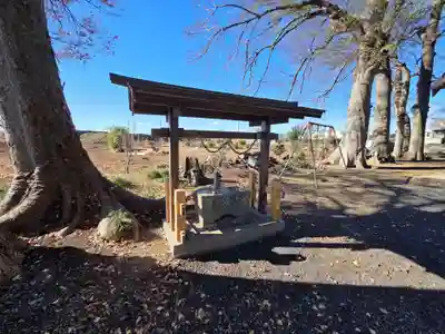 亀井神社(埼玉県)