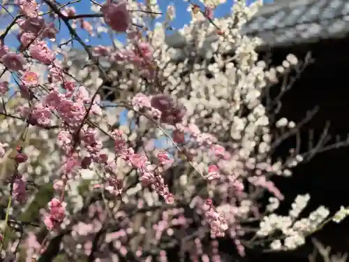 舎那院の{uncategorized: "未分類", other: "その他", undefined: "問題あり", building: "その他建物", grave: "お墓", sacred_gate: "鳥居", guardian: "狛犬", statue: "像", buddha: "仏像", history: "歴史", nature: "自然", garden: "庭園", animal: "動物", pagoda: "塔", temizu: "手水舎", mountain_gate: "山門・神門", sanctuary: "本殿・本堂", subordinate: "末社・摂社", art: "芸術", scenery: "景色", jizo: "地蔵", ema: "絵馬", goshuin: "御朱印", omikuji: "おみくじ", items: "授与品その他", amulet: "お守り", goshuincho: "御朱印帳", eats: "食事", festival: "お祭り", votive_dance: "神楽", shichigosan: "七五三参", wedding: "結婚式", experience: "体験その他", initially: "初詣", around: "周辺", anti_infection: "感染症対策"}