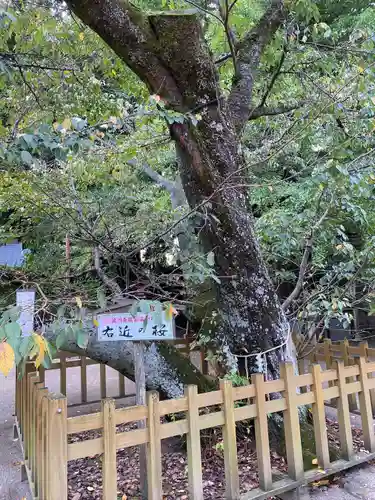 水戸八幡宮(茨城県)