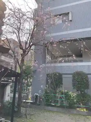 五條天神宮(京都府)