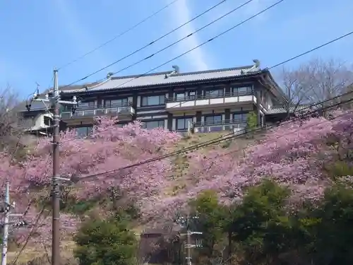 楽法寺（雨引観音）の自然