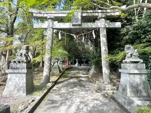 杉之木神社の鳥居