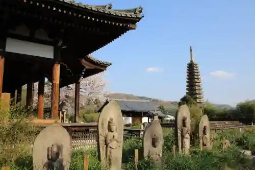 般若寺 ❁﻿コスモス寺❁(奈良県)