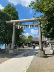 浅草神社(東京都)