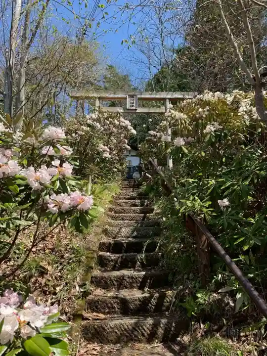 白根神社の{uncategorized: "未分類", other: "その他", undefined: "問題あり", building: "その他建物", grave: "お墓", sacred_gate: "鳥居", guardian: "狛犬", statue: "像", buddha: "仏像", history: "歴史", nature: "自然", garden: "庭園", animal: "動物", pagoda: "塔", temizu: "手水舎", mountain_gate: "山門・神門", sanctuary: "本殿・本堂", subordinate: "末社・摂社", art: "芸術", scenery: "景色", jizo: "地蔵", ema: "絵馬", goshuin: "御朱印", omikuji: "おみくじ", items: "授与品その他", amulet: "お守り", goshuincho: "御朱印帳", eats: "食事", festival: "お祭り", votive_dance: "神楽", shichigosan: "七五三参", wedding: "結婚式", experience: "体験その他", initially: "初詣", around: "周辺", anti_infection: "感染症対策"}