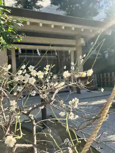 榊神社(東京都)