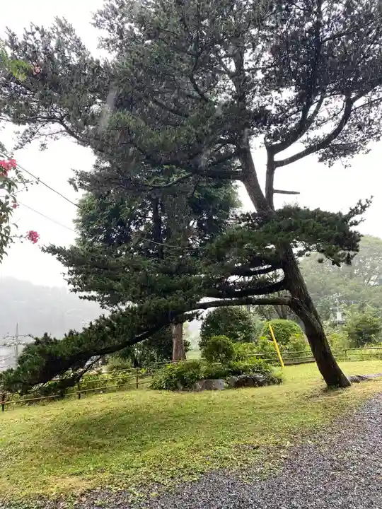 白山神社の庭園