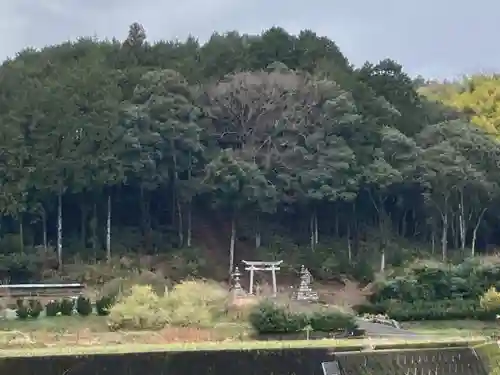 金刀比羅神社の周辺