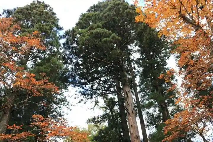 隠津島神社の自然