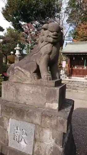 赤羽八幡神社の狛犬