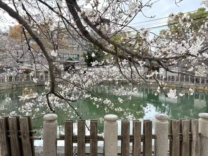 四天王寺(大阪府)