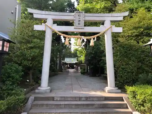 星川杉山神社(神奈川県)