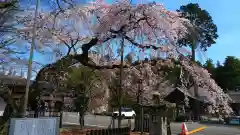 乃木神社(栃木県)