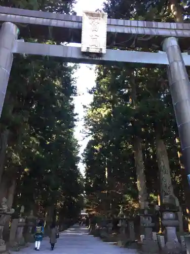 北口本宮冨士浅間神社の鳥居