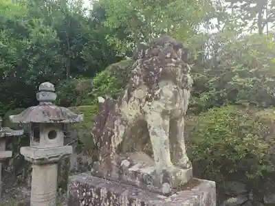 宇治神社の狛犬