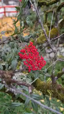 賀茂御祖神社（下鴨神社）(京都府)