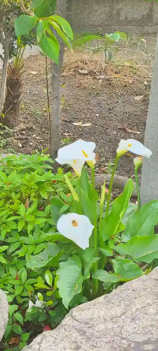 厄除の宮 駒林神社(兵庫県)