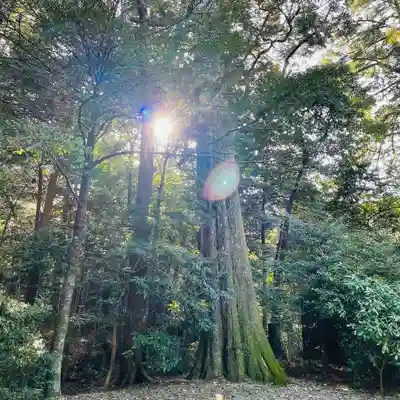 伊勢神宮外宮（豊受大神宮）(三重県)