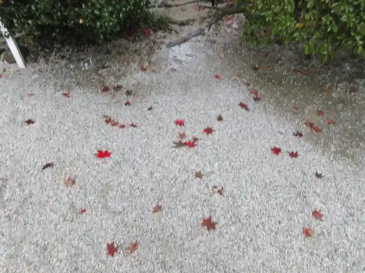 賀茂別雷神社(上賀茂神社)の庭園