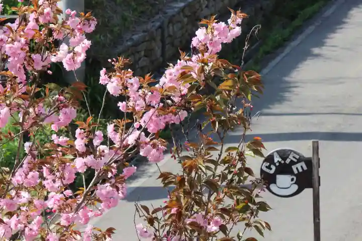 国宝 大法寺(長野県)