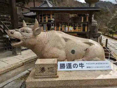 三室戸寺(京都府)