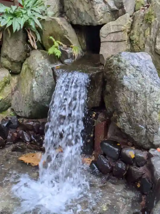 椿大神社の庭園