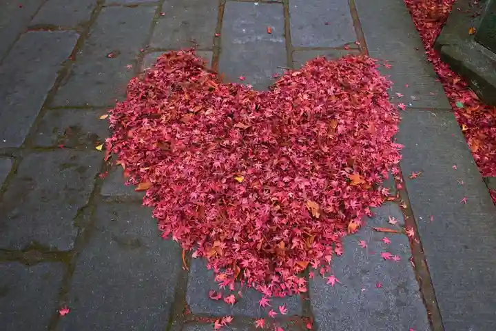 神炊館神社 ⁂奥州須賀川総鎮守⁂の芸術