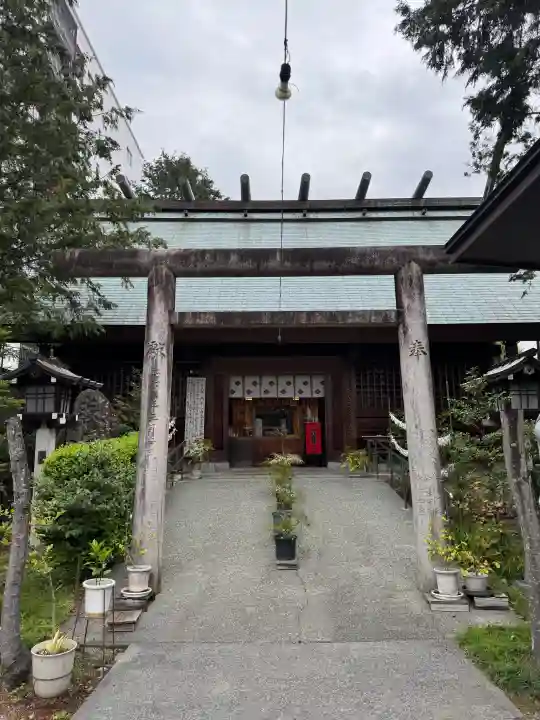 高知大神宮の{uncategorized: "未分類", other: "その他", undefined: "問題あり", building: "その他建物", grave: "お墓", sacred_gate: "鳥居", guardian: "狛犬", statue: "像", buddha: "仏像", history: "歴史", nature: "自然", garden: "庭園", animal: "動物", pagoda: "塔", temizu: "手水舎", mountain_gate: "山門・神門", sanctuary: "本殿・本堂", subordinate: "末社・摂社", art: "芸術", scenery: "景色", jizo: "地蔵", ema: "絵馬", goshuin: "御朱印", omikuji: "おみくじ", items: "授与品その他", amulet: "お守り", goshuincho: "御朱印帳", eats: "食事", festival: "お祭り", votive_dance: "神楽", shichigosan: "七五三参", wedding: "結婚式", experience: "体験その他", initially: "初詣", around: "周辺", anti_infection: "感染症対策"}