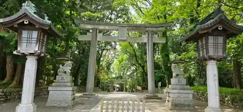 谷保天満宮の{uncategorized: "未分類", other: "その他", undefined: "問題あり", building: "その他建物", grave: "お墓", sacred_gate: "鳥居", guardian: "狛犬", statue: "像", buddha: "仏像", history: "歴史", nature: "自然", garden: "庭園", animal: "動物", pagoda: "塔", temizu: "手水舎", mountain_gate: "山門・神門", sanctuary: "本殿・本堂", subordinate: "末社・摂社", art: "芸術", scenery: "景色", jizo: "地蔵", ema: "絵馬", goshuin: "御朱印", omikuji: "おみくじ", items: "授与品その他", amulet: "お守り", goshuincho: "御朱印帳", eats: "食事", festival: "お祭り", votive_dance: "神楽", shichigosan: "七五三参", wedding: "結婚式", experience: "体験その他", initially: "初詣", around: "周辺", anti_infection: "感染症対策"}