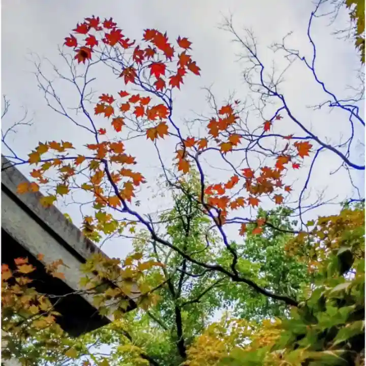 彌彦神社 (伊夜日子神社)(北海道)