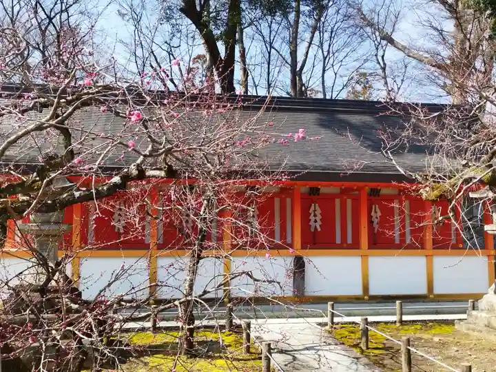 北野天満宮(京都府)