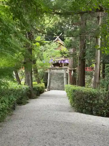 高鴨神社(奈良県)