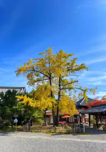 清凉寺(京都府)