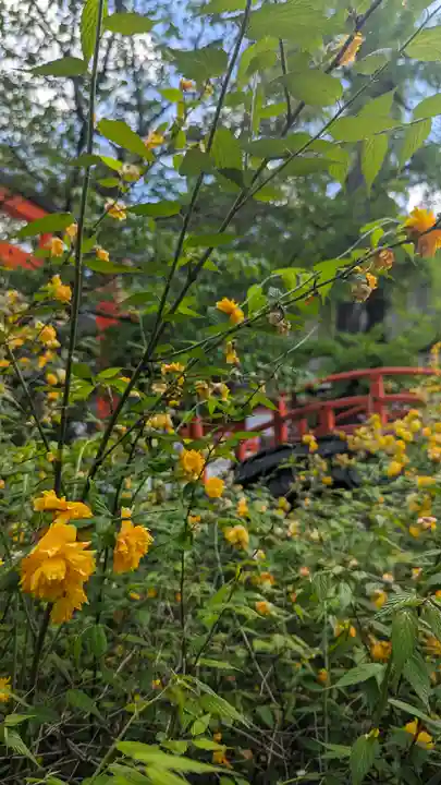 賀茂御祖神社(下鴨神社)(京都府)