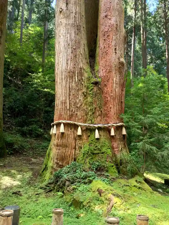 御岩神社の{uncategorized: "未分類", other: "その他", undefined: "問題あり", building: "その他建物", grave: "お墓", sacred_gate: "鳥居", guardian: "狛犬", statue: "像", buddha: "仏像", history: "歴史", nature: "自然", garden: "庭園", animal: "動物", pagoda: "塔", temizu: "手水舎", mountain_gate: "山門・神門", sanctuary: "本殿・本堂", subordinate: "末社・摂社", art: "芸術", scenery: "景色", jizo: "地蔵", ema: "絵馬", goshuin: "御朱印", omikuji: "おみくじ", items: "授与品その他", amulet: "お守り", goshuincho: "御朱印帳", eats: "食事", festival: "お祭り", votive_dance: "神楽", shichigosan: "七五三参", wedding: "結婚式", experience: "体験その他", initially: "初詣", around: "周辺", anti_infection: "感染症対策"}