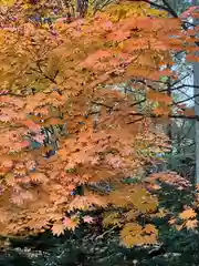 旭川神社の自然