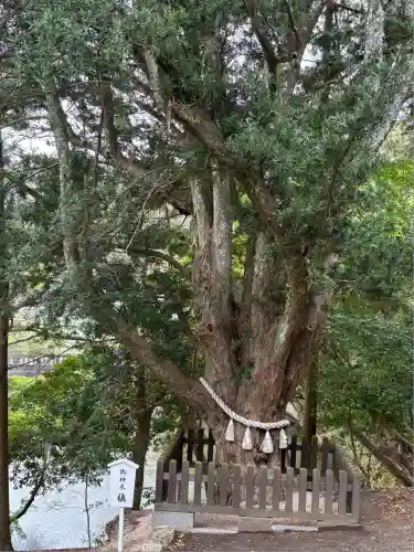 安房神社(千葉県)