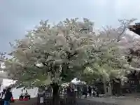 池上本門寺(東京都)