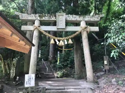 金持神社の鳥居