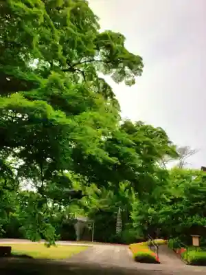 福蔵院(東京都)