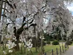 足羽神社の庭園