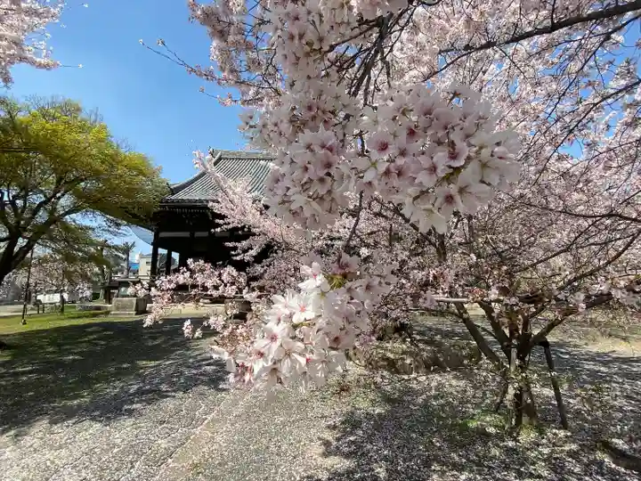 立本寺(京都府)