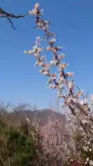 相馬神社の自然