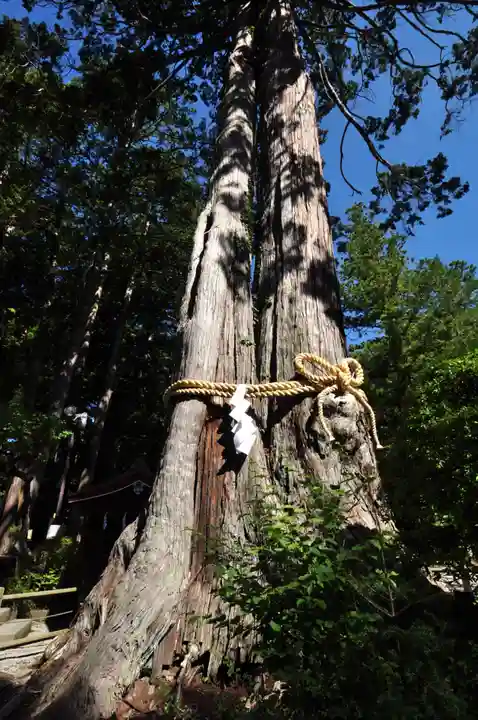 北口本宮冨士浅間神社(山梨県)