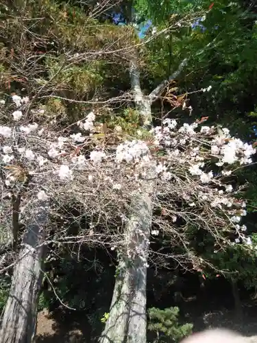 鹿島大神宮(福島県)